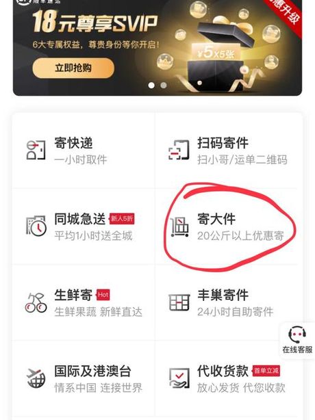 顺丰快递：速度与效率的奥秘