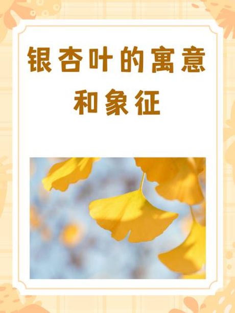 期颐怎么读：探秘中国古代的长寿象征