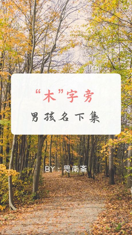 栎字怎么读