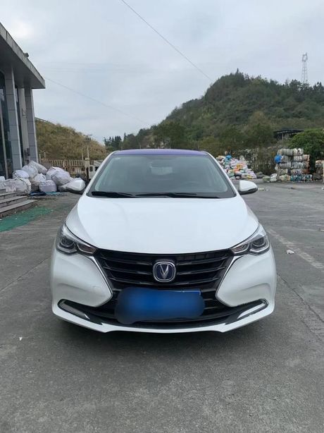 长安悦翔：性能与性价比的深度剖析