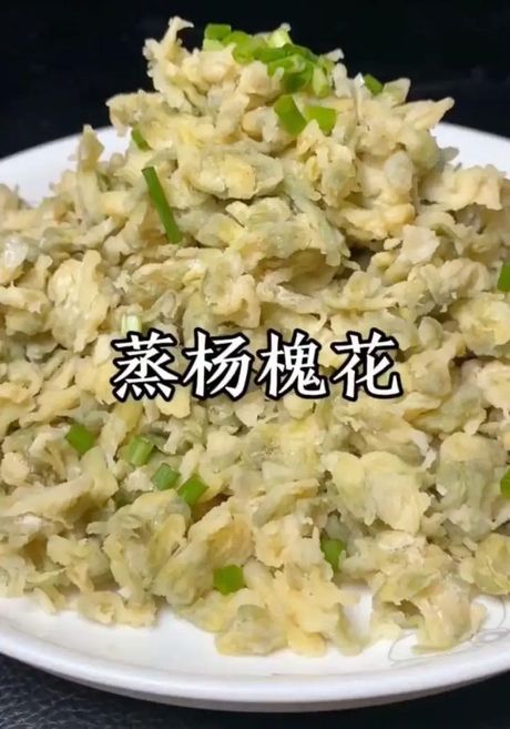 槐花美食攻略：如何烹饪出美味的槐花佳肴