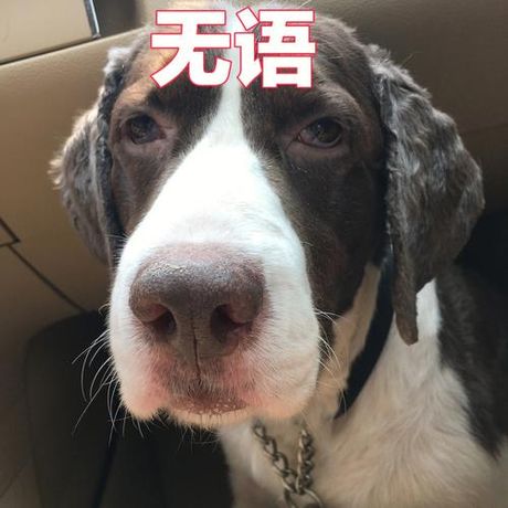 莫名其妙名的意思，莫名其妙