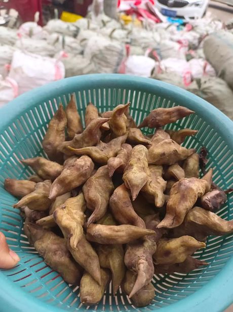 菱角煮多久能熟？