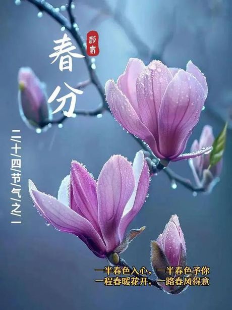 雨露均沾：平等与共享的象征
