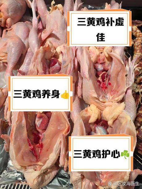 三黄鸡为什么那么便宜，三黄鸡价格低廉的七大核心因素