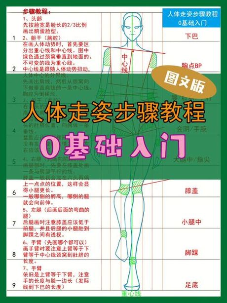 怎么走模特步