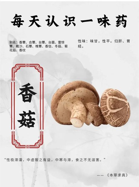香菇要煮多久：掌握烹饪时间的秘密