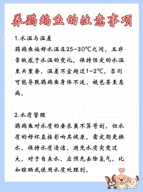 虎皮鱼饲养指南