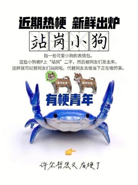 贴吧gck什么意思：网络流行语的演变与含义