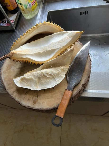 榴莲壳的处理与再利用