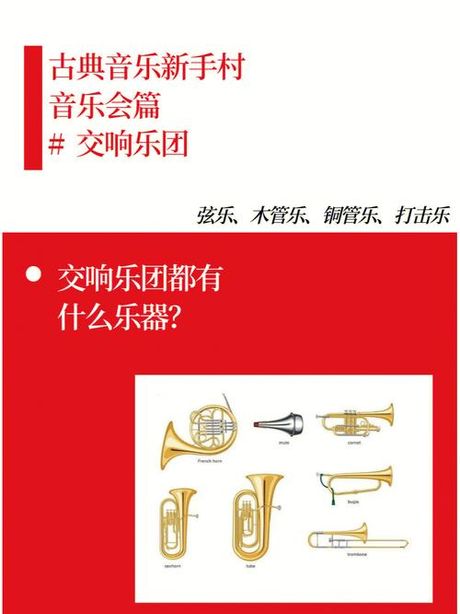 交响乐的秘密：探索“Symphony”的含义