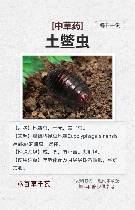 土元多少钱一斤？——探索土元的秘密和价值