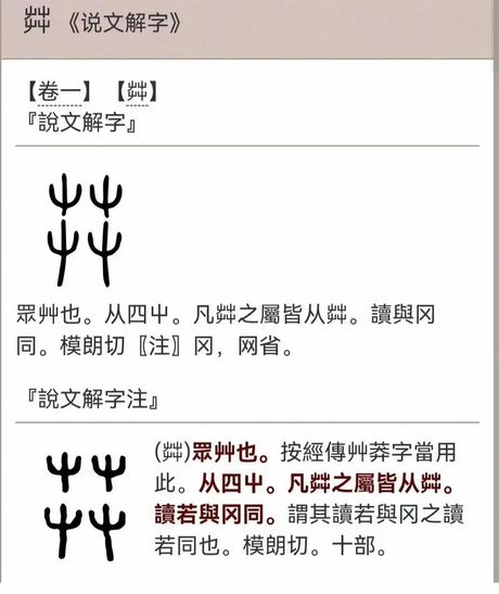 艹怎么读，探索汉字“艹”的读音与意义