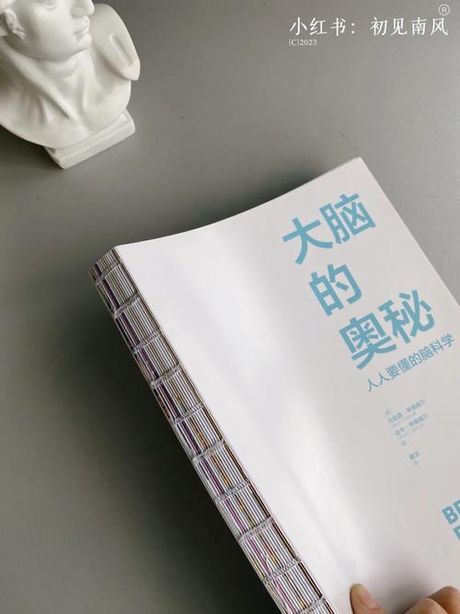 3磅是多少斤？——探索重量单位转换的奥秘
