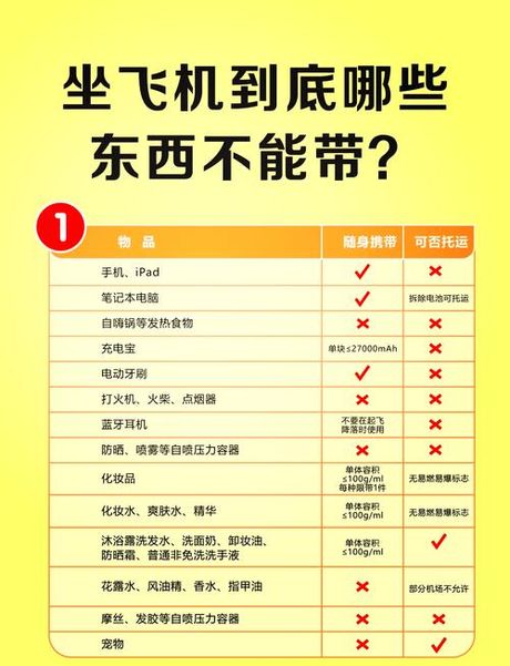 飞机电脑托运指南：规定与安全建议