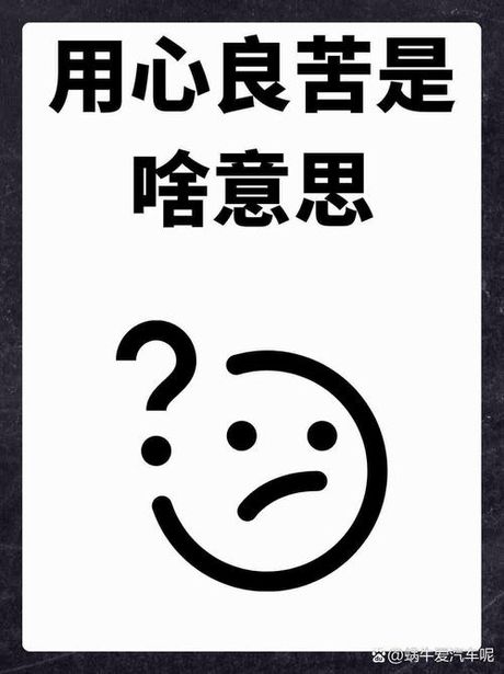 用心良苦的意思
