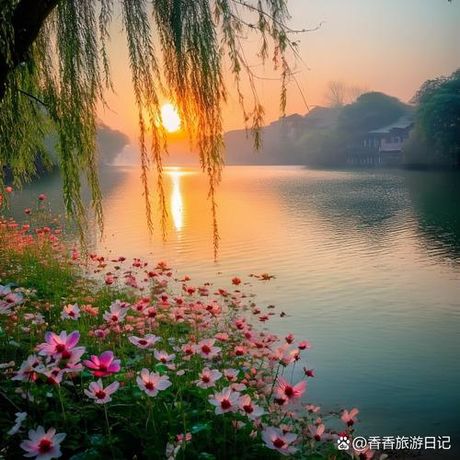 日出江花红胜火意思，日出江花红胜火意思解析