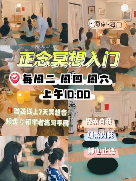 心会神凝：专注与冥想的科学
