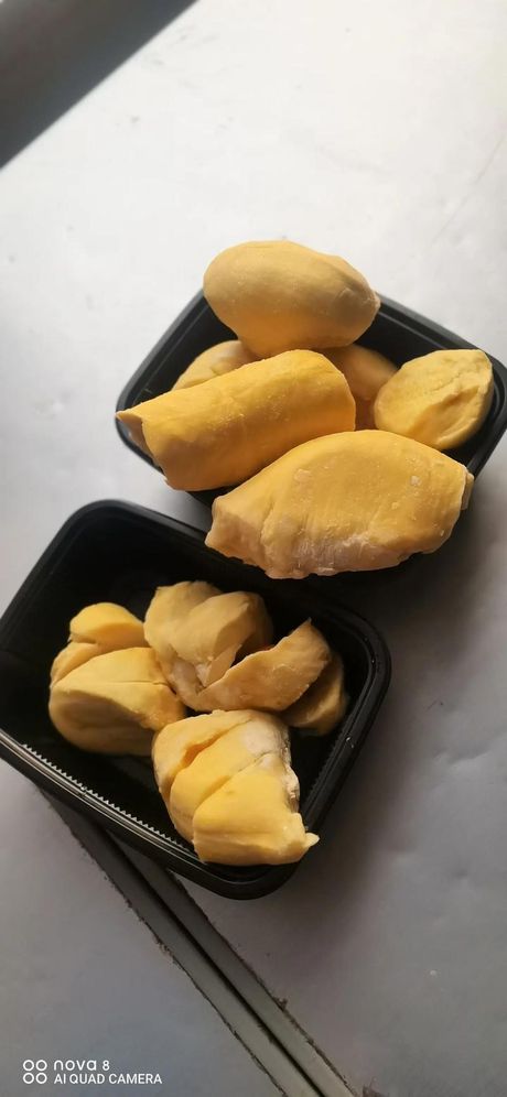 榴莲肉可以冷冻保存吗？