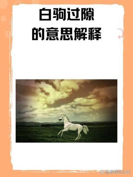 白驹过隙是什么意思