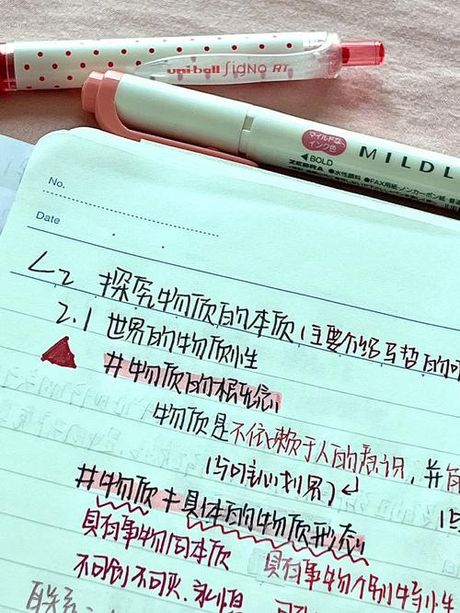 探索“Mild”的多重含义
