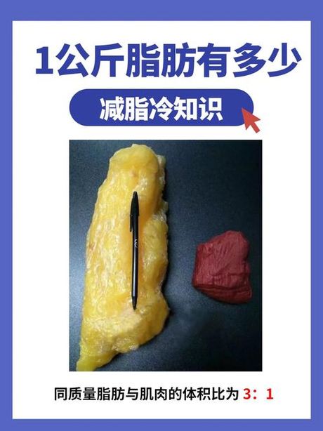 1巴等于多少公斤？