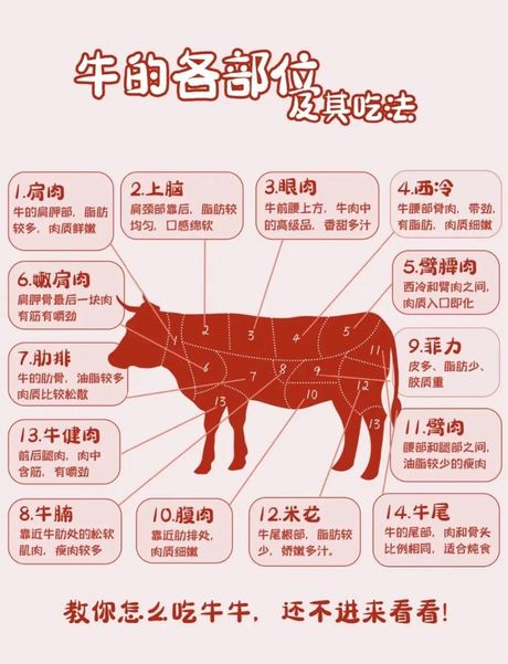 切牛排应该怎么拿刀叉，切牛排的正确方法