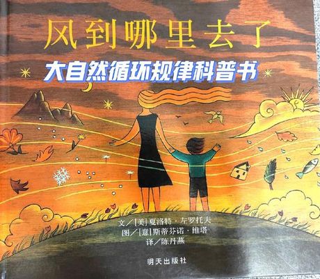 Windy：探索天气与风的奥秘