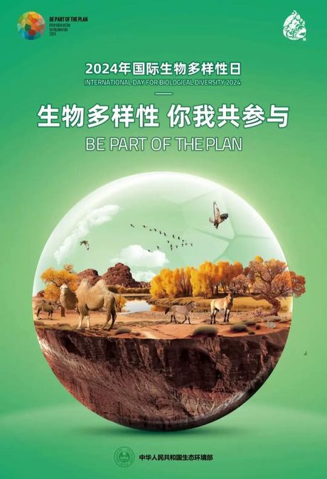 畸形：自然界的多样性与挑战