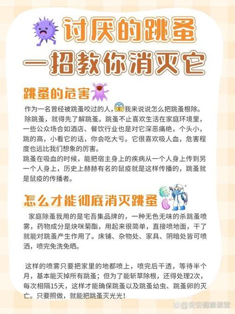 彻底消灭跳蚤：全面攻略
