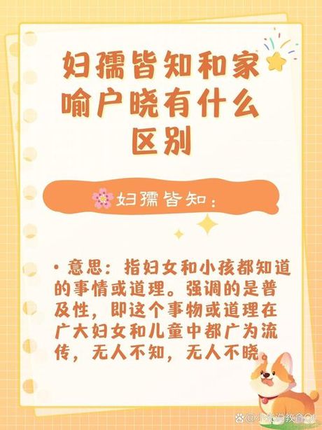 普及的意思
