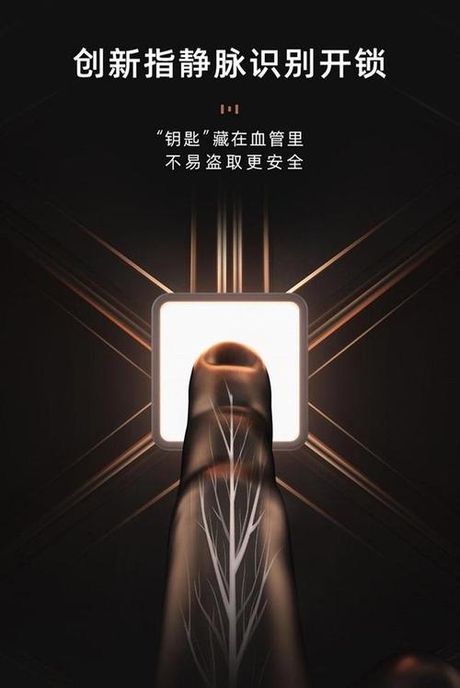 探索解压密码的重要性与安全使用