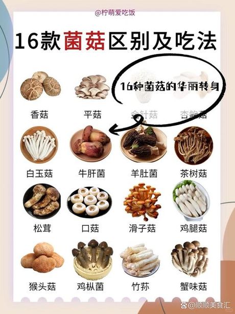 金针菇根部可以栽活吗？