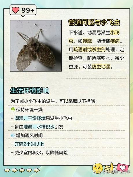 家里飞蛾多是什么原因