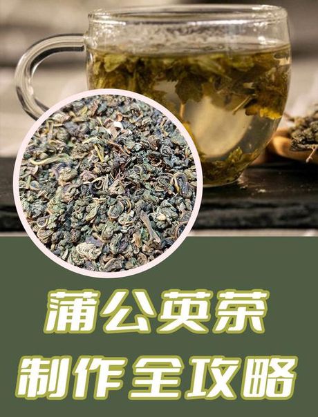 蒲公英茶的制作方法