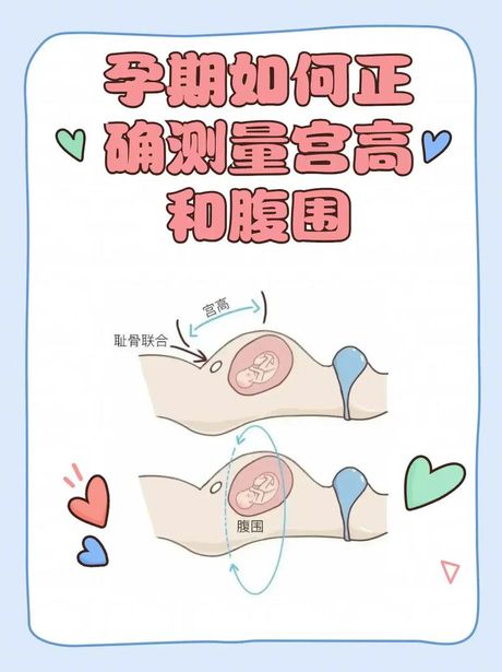 腹围：健康监测的重要指标