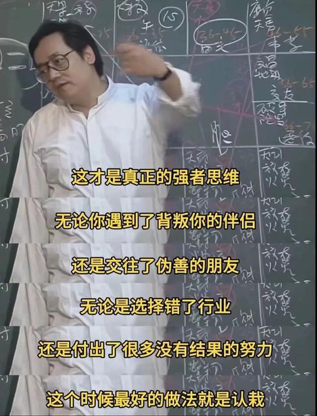 荣辱不惊：深藏智慧的生活态度