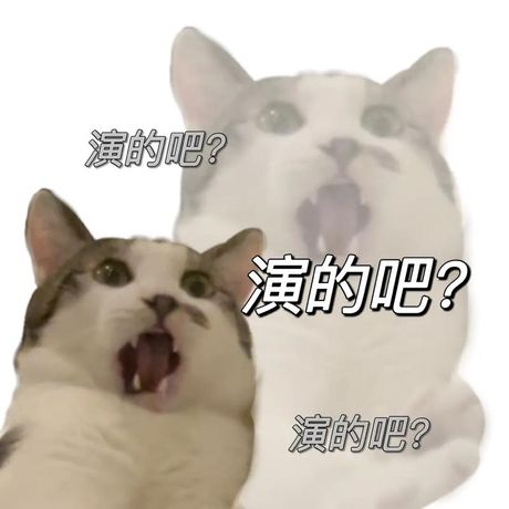 “喵喵”声的背后：猫咪的“Meow”语言解析