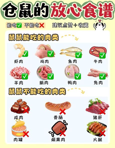 老鼠可以吃吗？——探索食物安全与营养价值