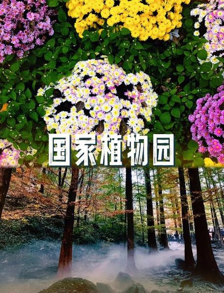 北京植物园：自然与科学的完美融合