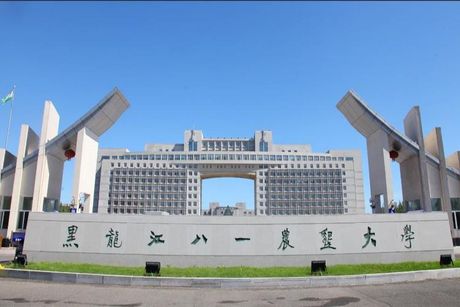 八一农垦大学：农业教育的璀璨明珠