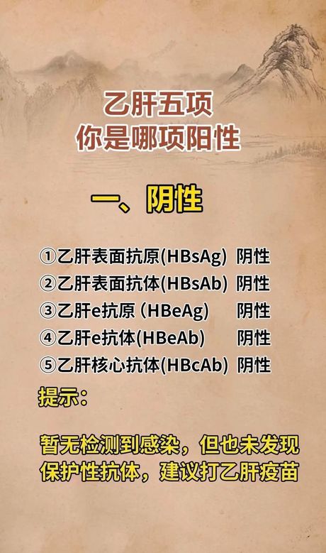 hbv什么意思，HBV是什么意思？