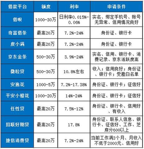 哪里能借到钱：2024年的选择