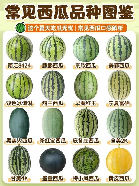 西瓜为什么叫西瓜？
