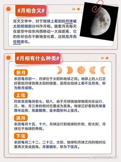 静立不动的科学奥秘