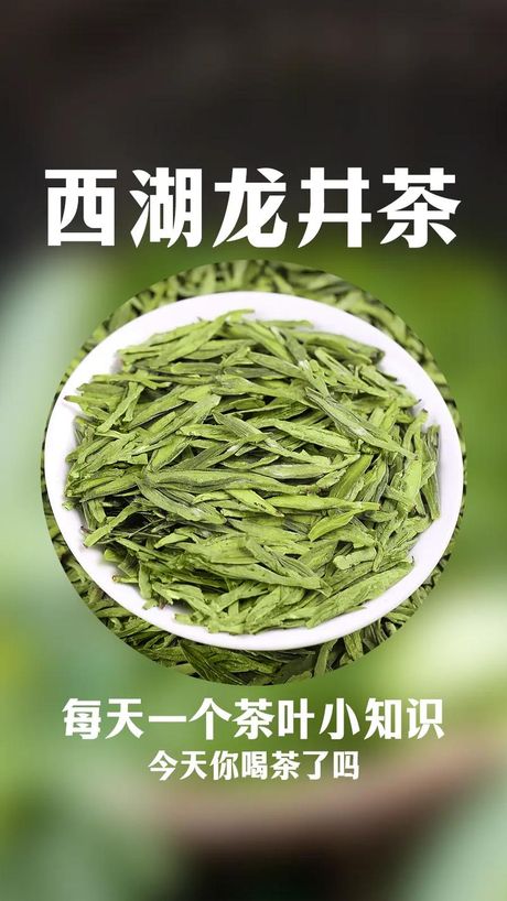 龙井茶：源自中国杭州的绿茶瑰宝