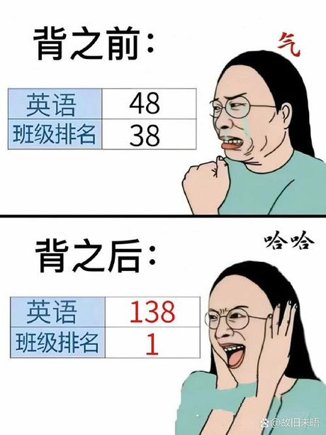太顶了是什么意思