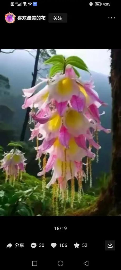 奇花异草的异什么意思，奇花异草的“异”字解释