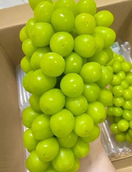 晴王葡萄：价格与品质的揭秘