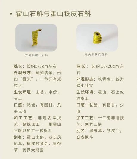 哪里的石斛最好？了解石斛的产地和品质
